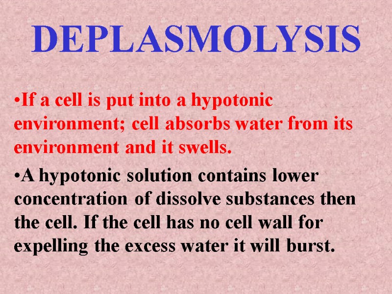DEPLASMOLYSIS If a cell is put into a hypotonic environment; cell absorbs water from